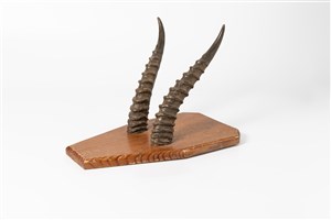 Image description is not available for 2015.2.5